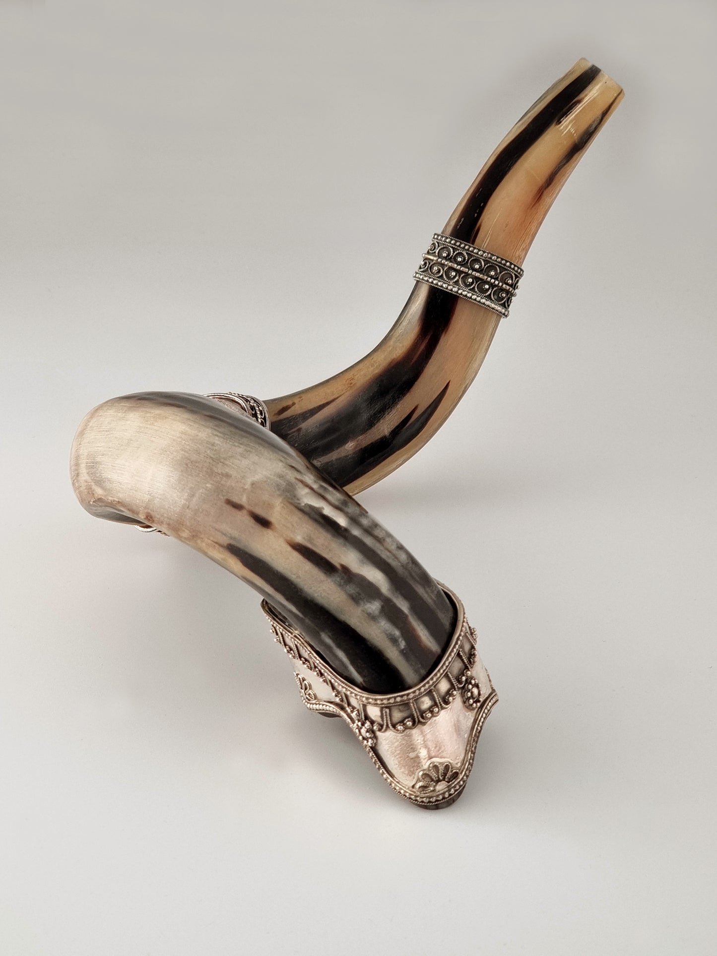 Bottom view of Abraham Shofar