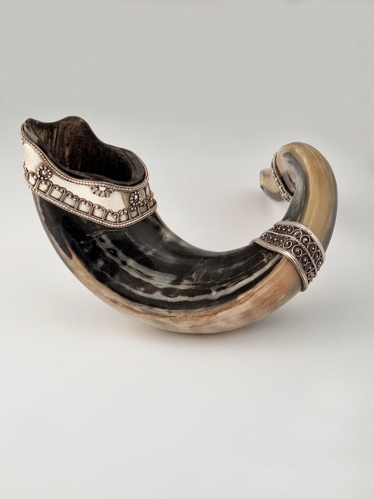 Abraham Shofar with silver bands by Yemini