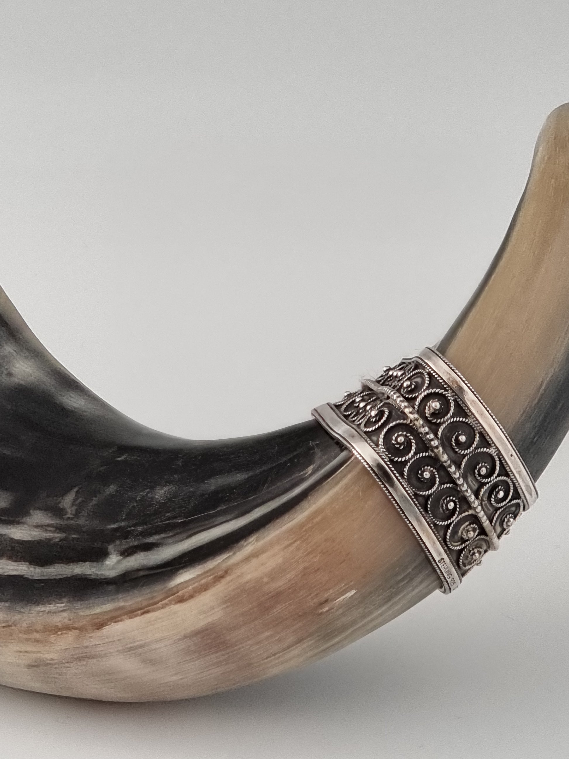 Silver band perfectly fitted on a black Shofar